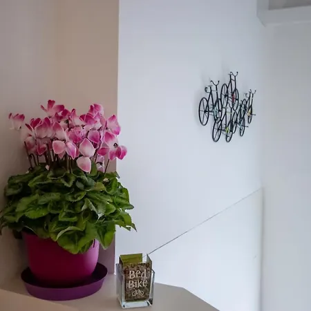 Bed & Bike 4* 페라라
